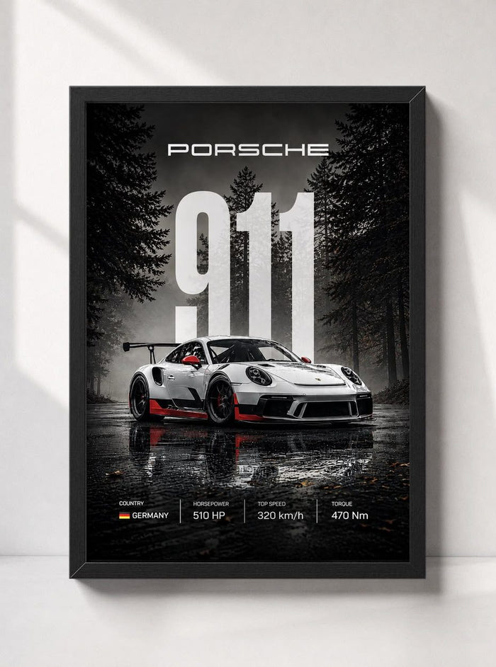 Porsche 911 Frame